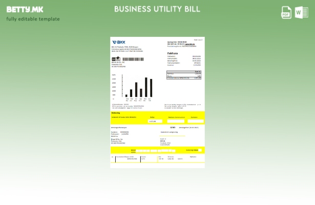 Модерен стил на BKK шаблон за деловна сметка за електрична енергија за комунални
